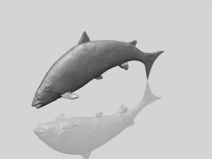 fish 04 3D Print Model