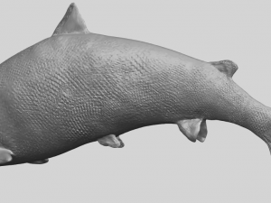 fish 04 3D Baskı Modeli