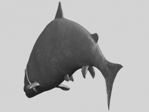 fish 04 3D Baskı Modeli