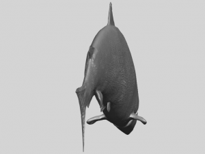 fish 04 3D Baskı Modeli
