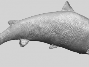 fish 04 3D Baskı Modeli