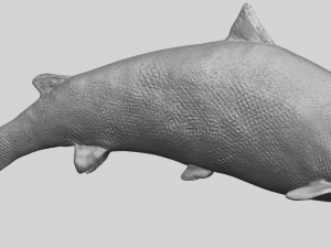 fish 04 3D Baskı Modeli