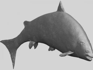 fish 04 3D Print Model