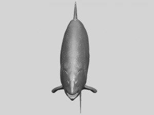 fish 04 3D Print Model
