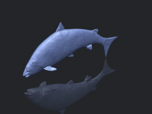 fish 04 3D Baskı Modeli