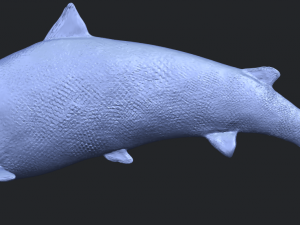 fish 04 3D Baskı Modeli