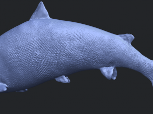 fish 04 3D Baskı Modeli