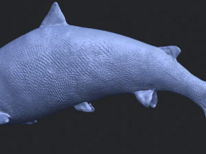 fish 04 3D Print Model