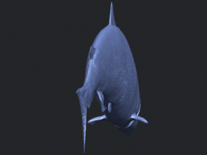 fish 04 3D Baskı Modeli