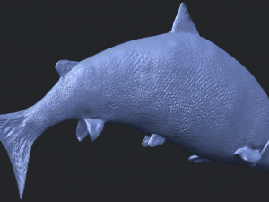 fish 04 3D Baskı Modeli