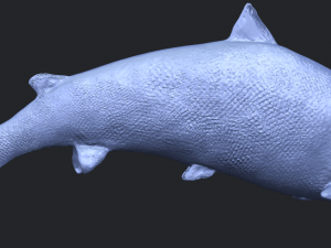 fish 04 3D Baskı Modeli