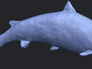 fish 04 3D Baskı Modeli