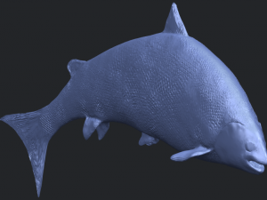 fish 04 3D Baskı Modeli