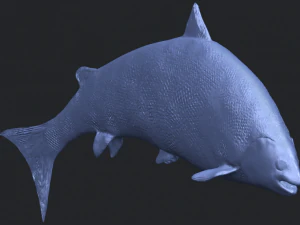 fish 04 3D Print Model