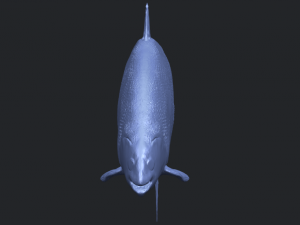 fish 04 3D Baskı Modeli