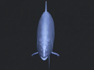 fish 04 3D Print Model