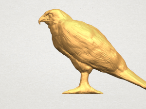 eagle 02 3D Print Models