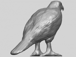 eagle 02 3D 打印模型