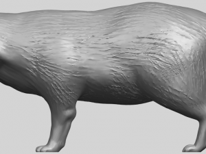 fox 3D Baskı Modeli