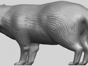 fox 3D Baskı Modeli