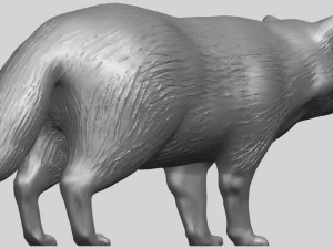 fox 3D Print Model