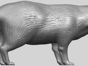 fox 3D Print Model