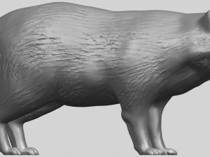 fox 3D Print Model