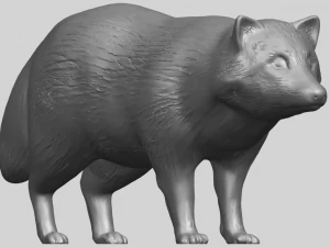 fox 3D Print Model