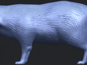 fox 3D Print Model