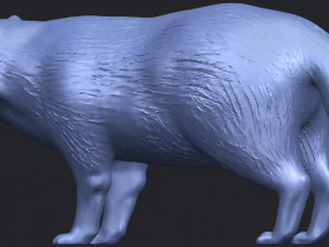 fox 3D Print Model