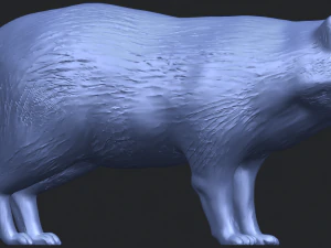 fox 3D Print Model