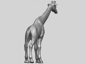 giraffe 3D Print Model