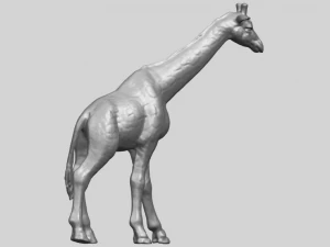 giraffe 3D Print Model
