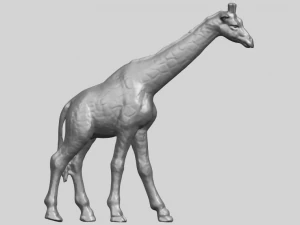 giraffe 3D Print Model