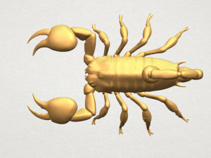scorpion 3Dプリントモデル
