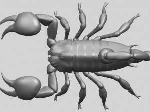 scorpion Modello di stampa 3D