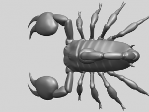 scorpion Modello di stampa 3D