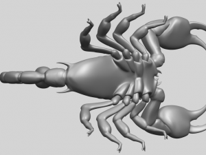 scorpion Modello di stampa 3D
