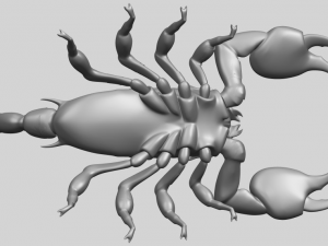 scorpion Modello di stampa 3D