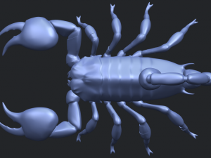 scorpion Modello di stampa 3D