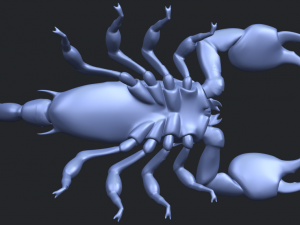 scorpion Modello di stampa 3D