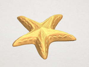 starfish 01 3D-printmodel