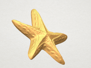 starfish 01 3D-printmodel