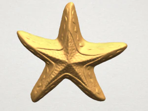 estrella de mar 01 Modelo de impresión 3D