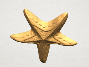 starfish 01 3D-printmodel