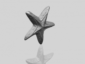 starfish 01 3D-printmodel