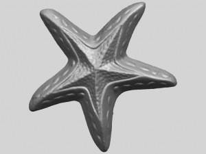 starfish 01 3D-printmodel