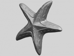 starfish 01 3D-printmodel
