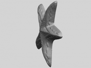 starfish 01 3D-printmodel