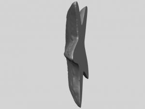 starfish 01 3D-printmodel
